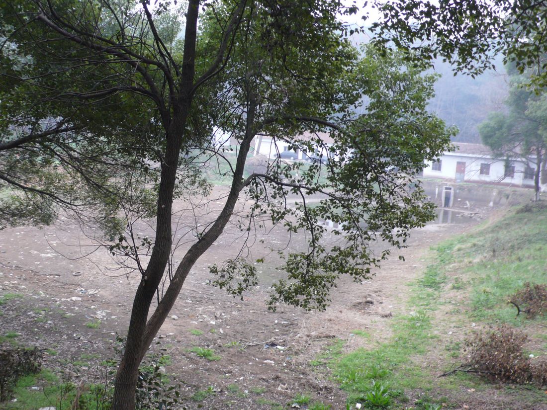 l1100031.jpg