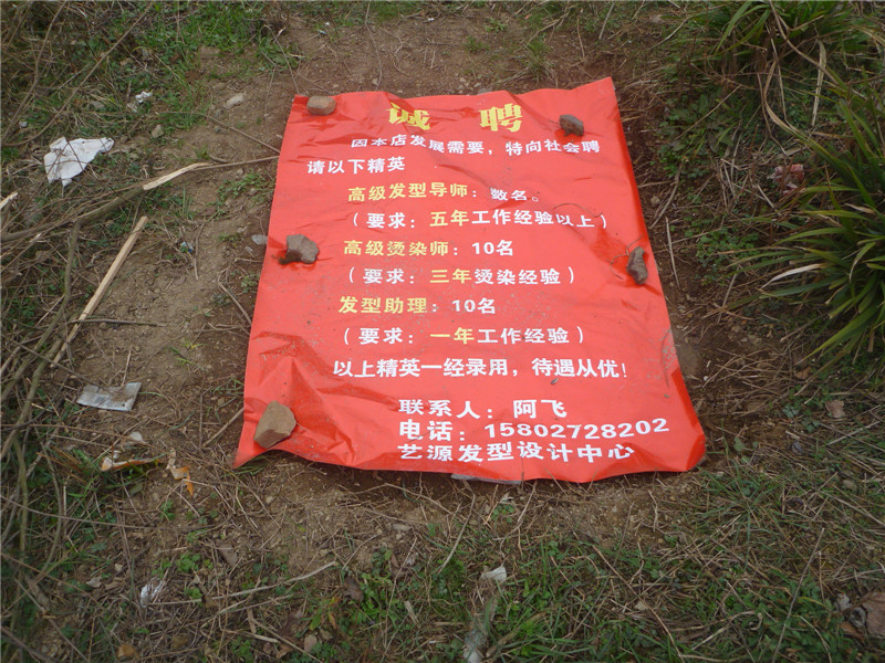 p1040816_.jpg