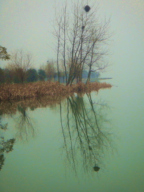 dsc04161.jpg