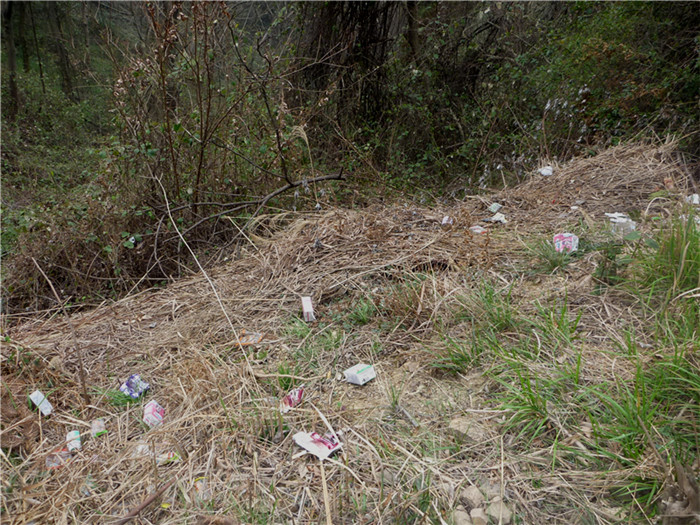 p1040832_.jpg