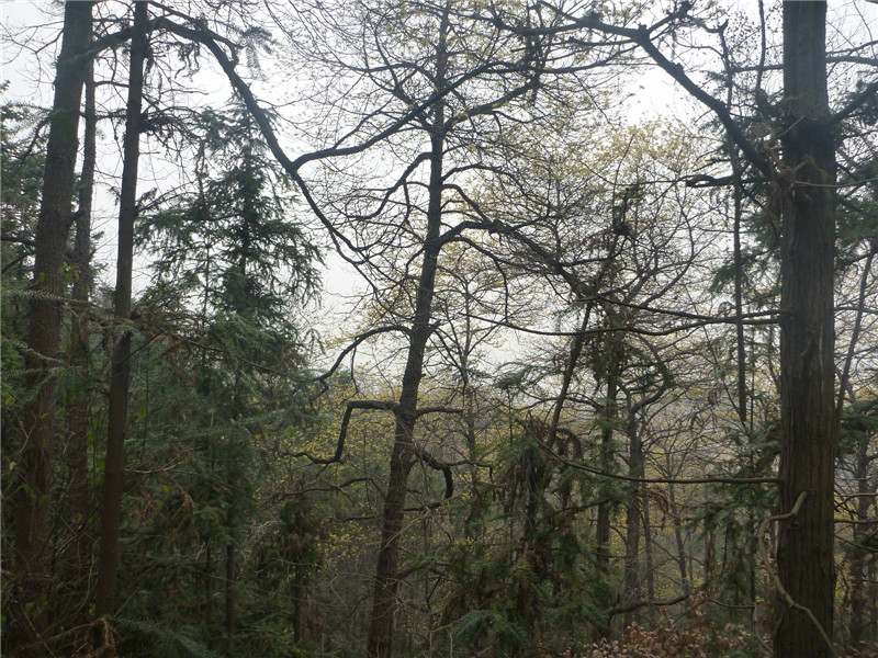 p1040824_.jpg