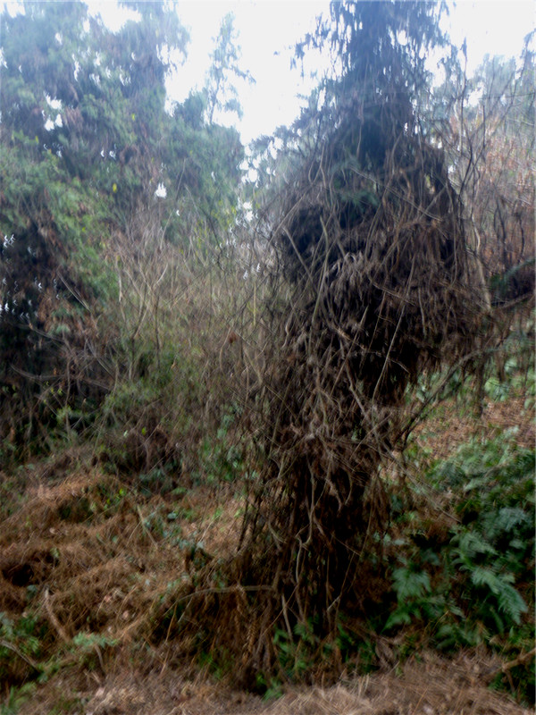 p1040817_.jpg