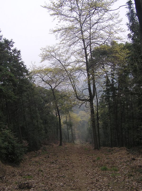 p1010237.jpg