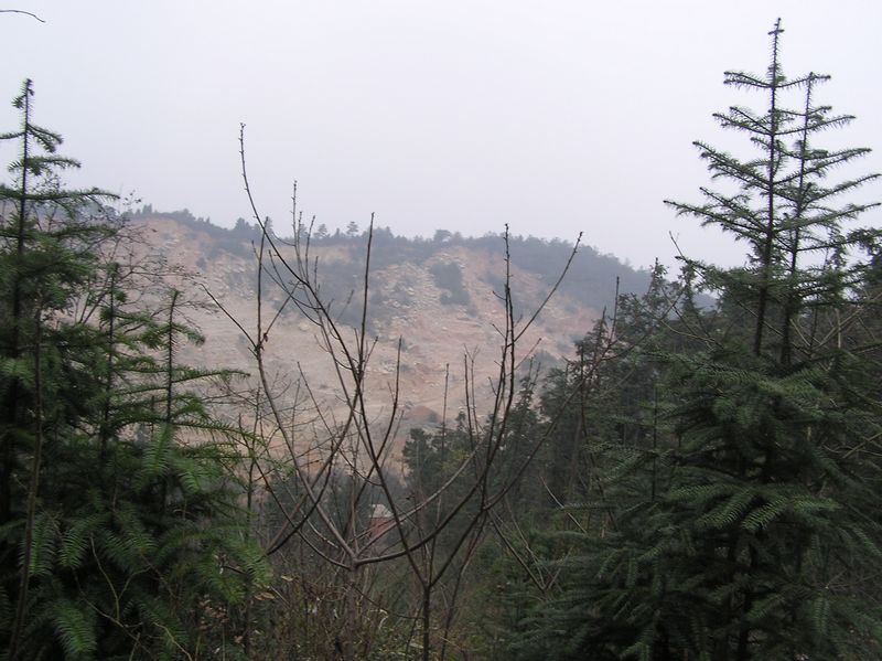 p1010239.jpg