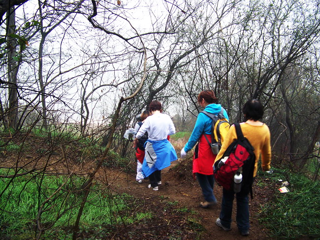 100_8575.jpg