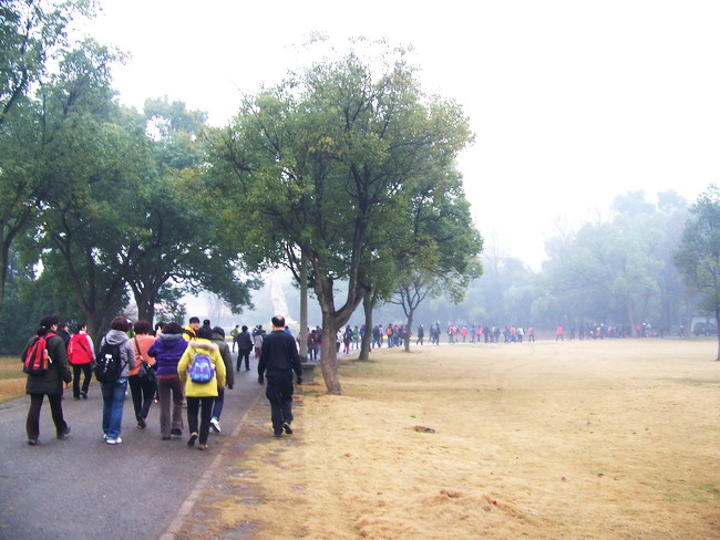 100_8550.jpg