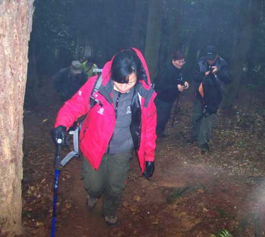 100_8557.jpg