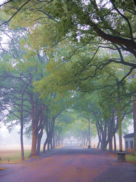 dsc04164.jpg