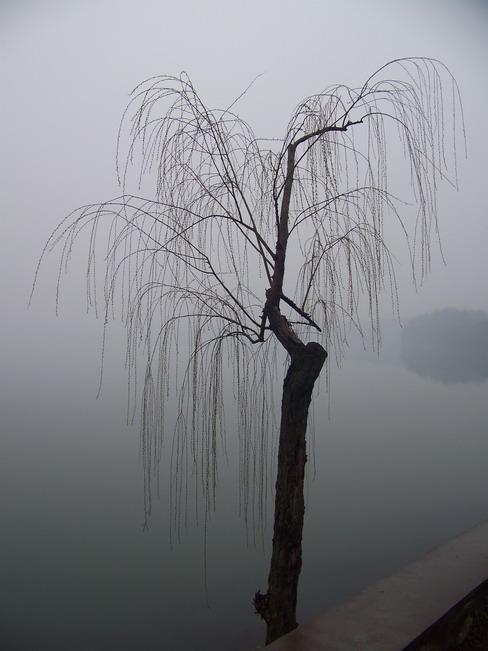 100_8632.jpg
