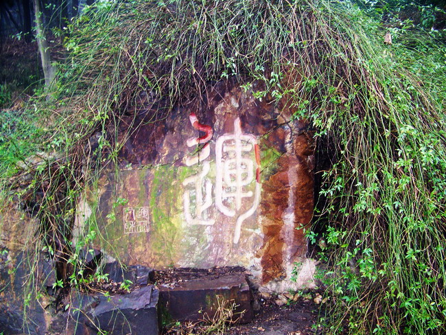 100_8640.jpg