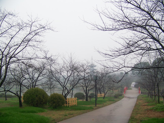 100_8669.jpg