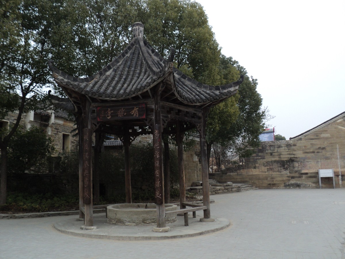 dsc02528.jpg