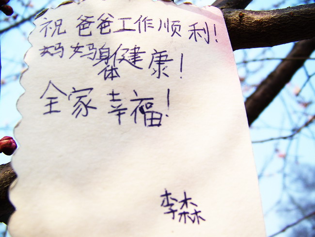 100_8358.jpg