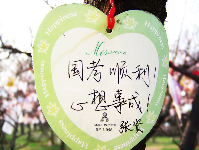 100_8359.jpg