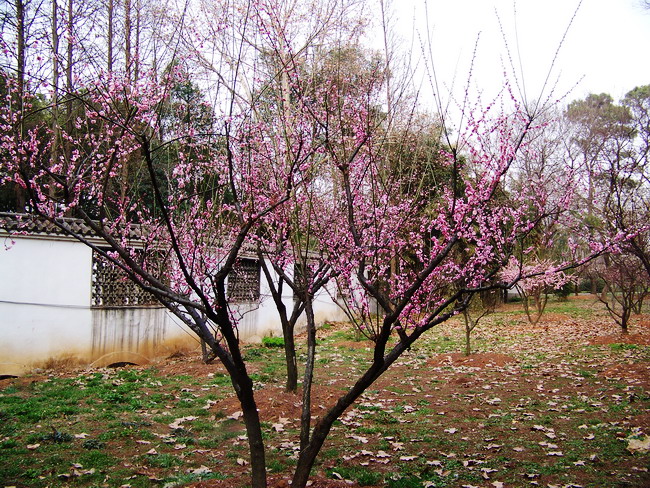 100_8362.jpg