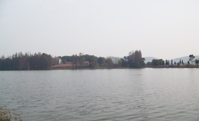 100_8382.jpg