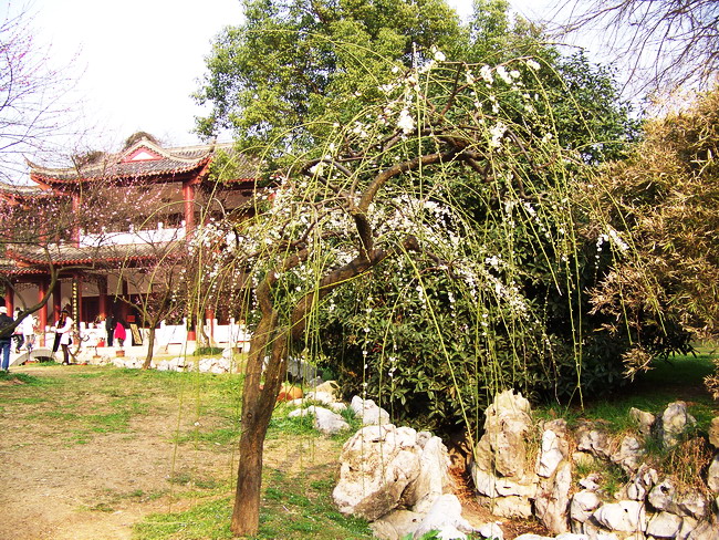 100_8380.jpg