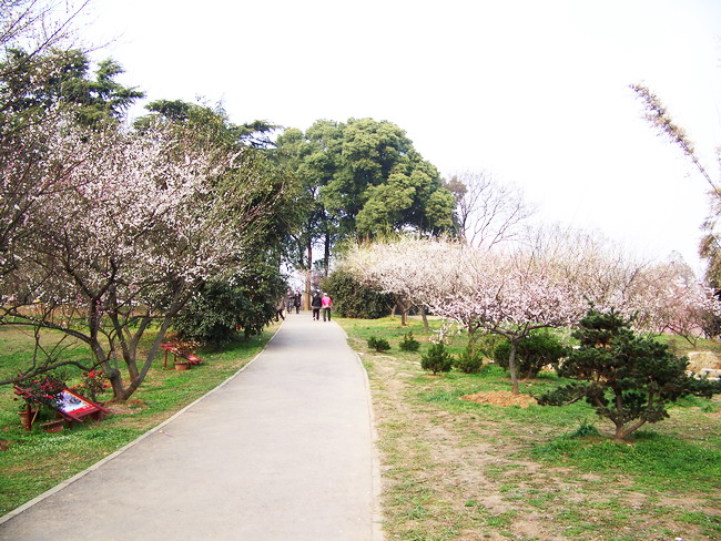 100_8384.jpg