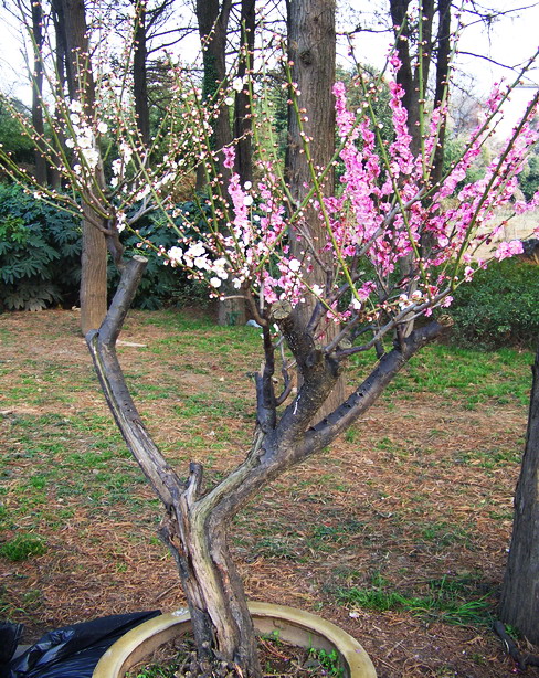 100_8390.jpg