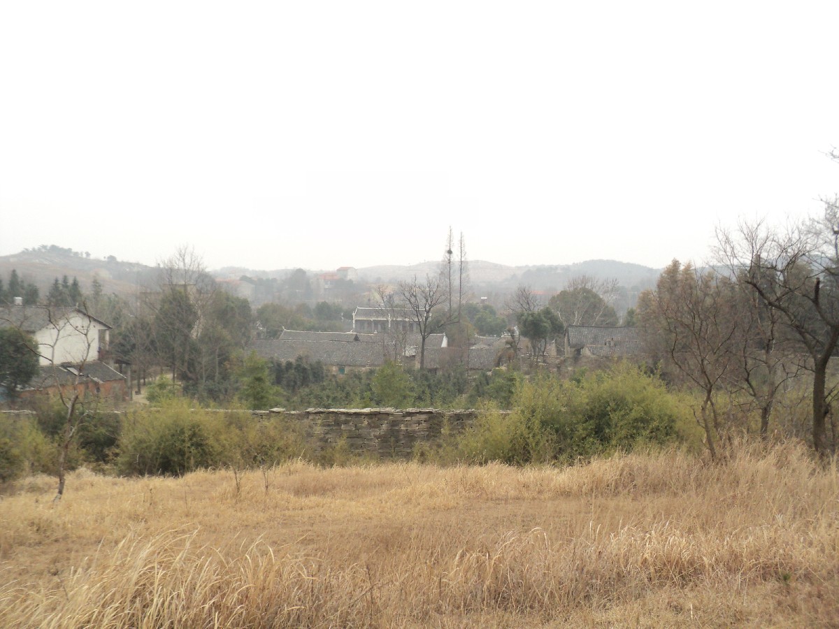 dsc02538.jpg
