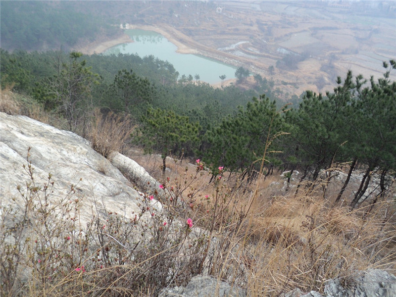 dsc02559_.jpg