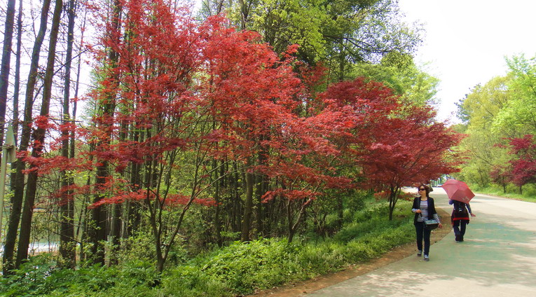 dsc06752.jpg