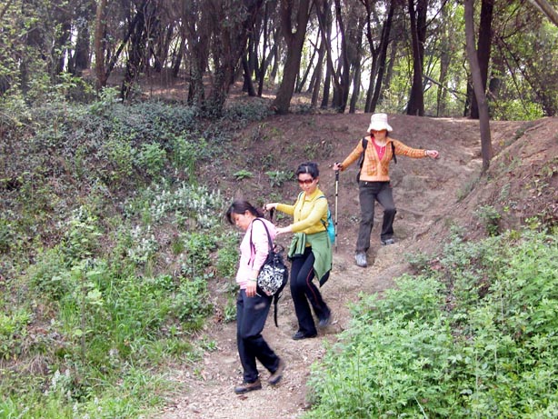 dscn5645.jpg