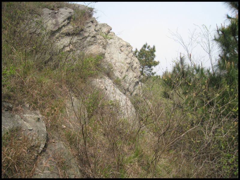 conew_img_5363.jpg