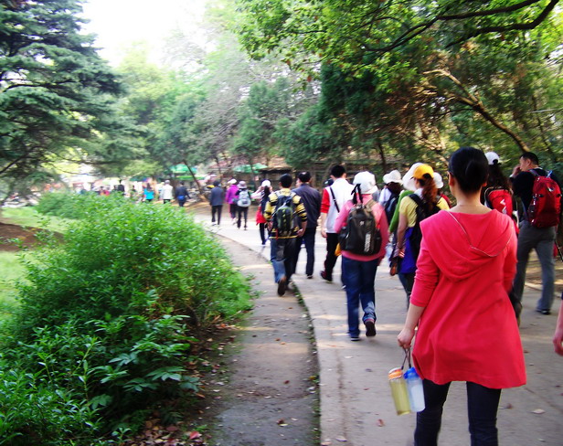 100_1164.jpg
