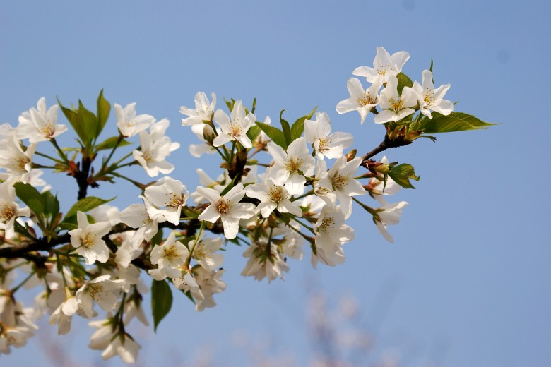 ĥɽӣ 053_conew1.jpg