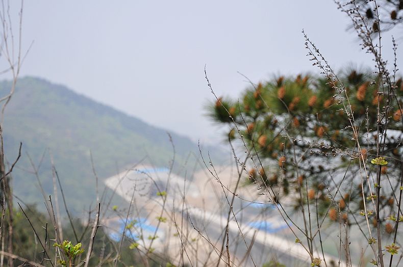 dsc_1900.jpg