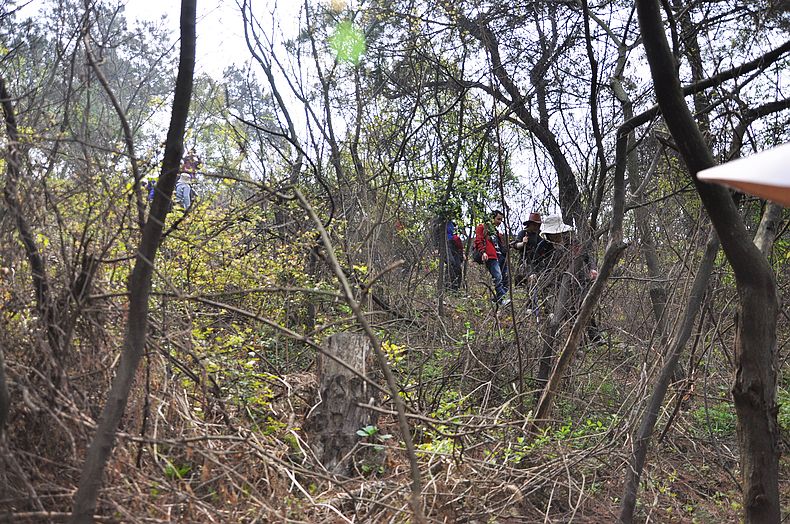 dsc_1908.jpg