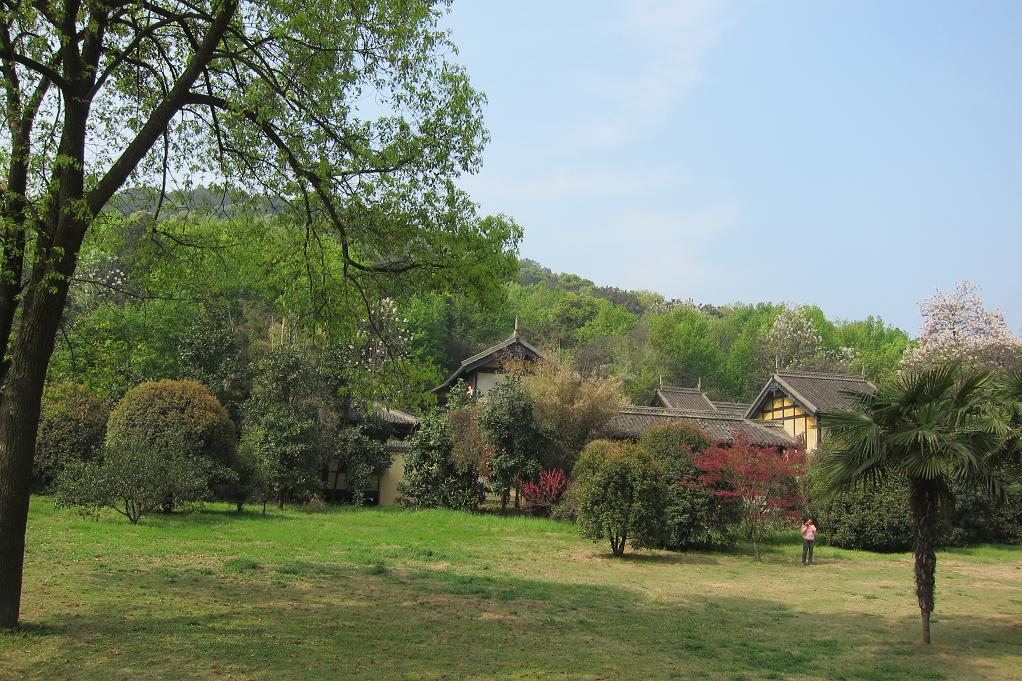 206-35.jpg