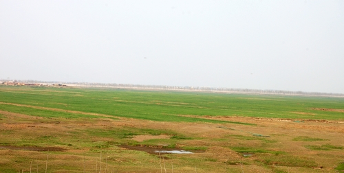 ̲-Ȫ-2011-3-26 (1).jpg