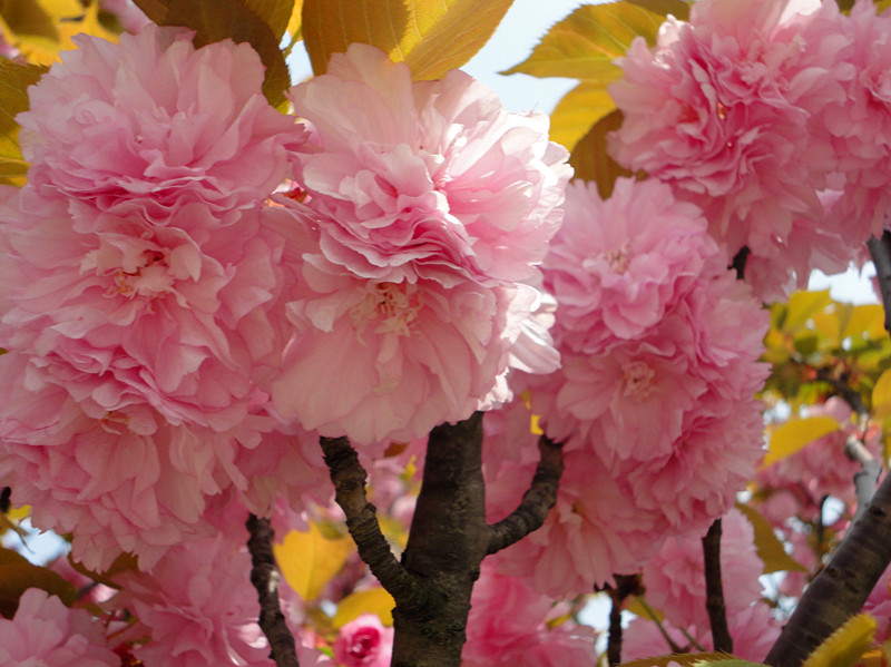 dsc01759_.jpg