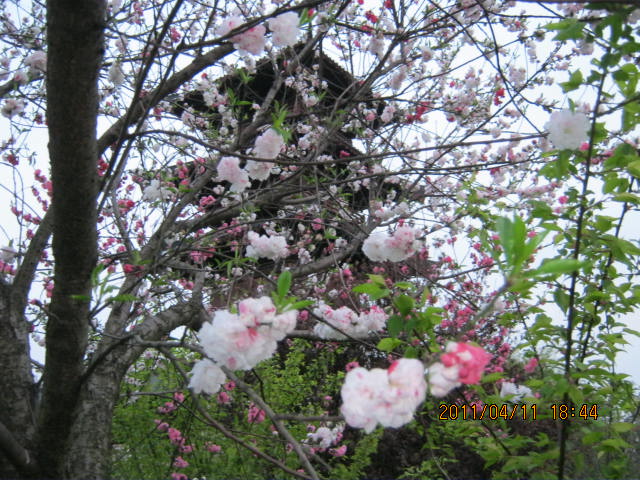 img_2120.jpg