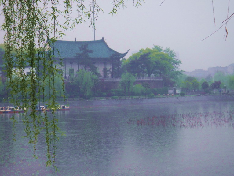 dsc06767.jpg