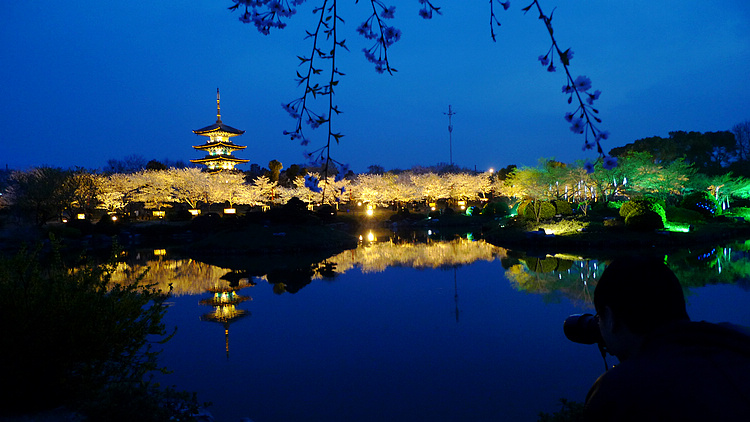 p1100363.jpg
