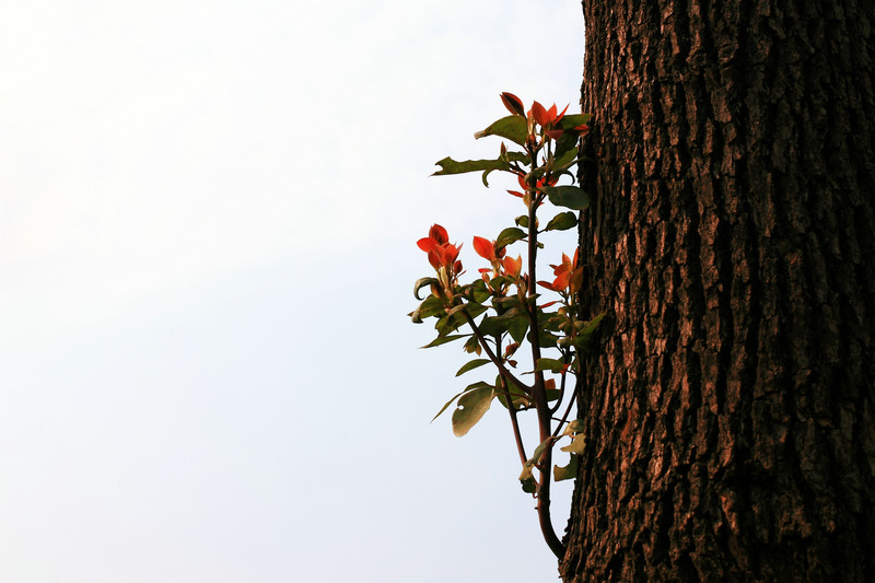 img_6745_1.jpg