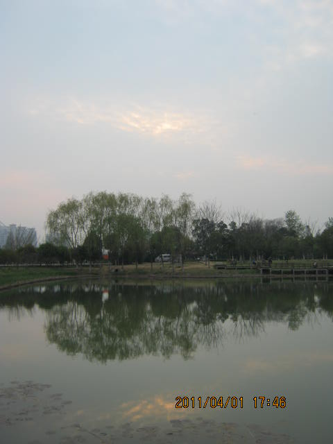 img_1829.jpg