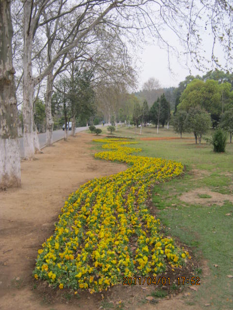 img_1830.jpg