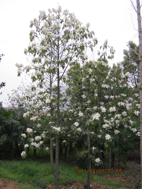 img_1832.jpg