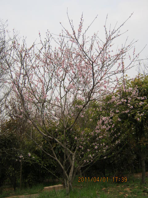 img_1820.jpg