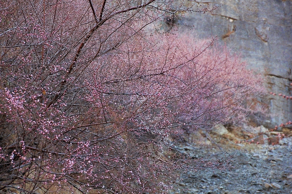 img_4574.jpg