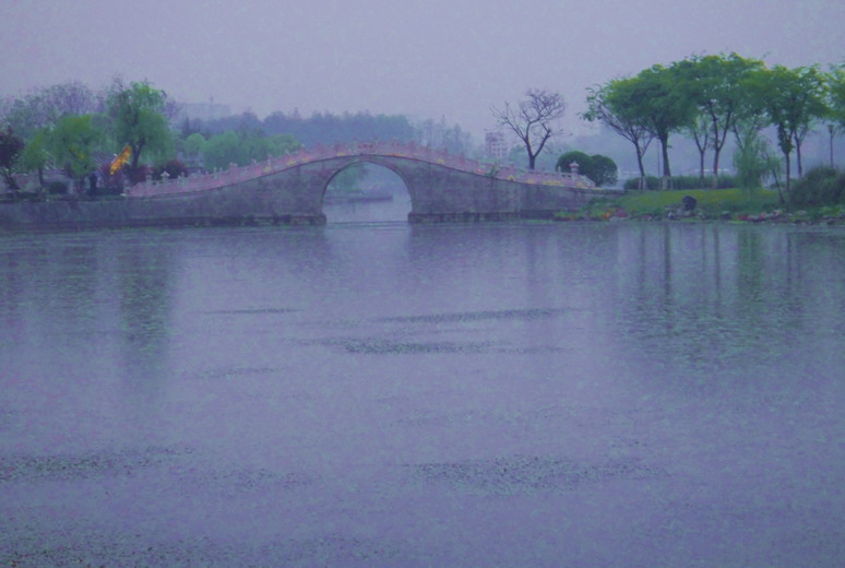 dsc06768.jpg