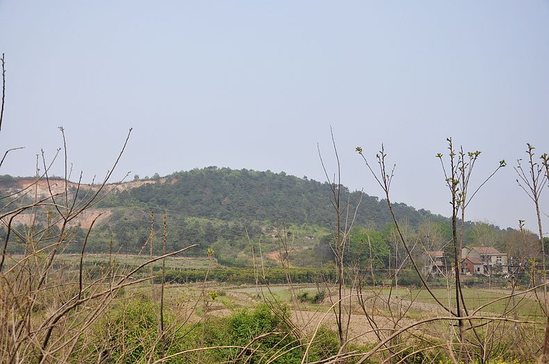 dsc_2053.jpg