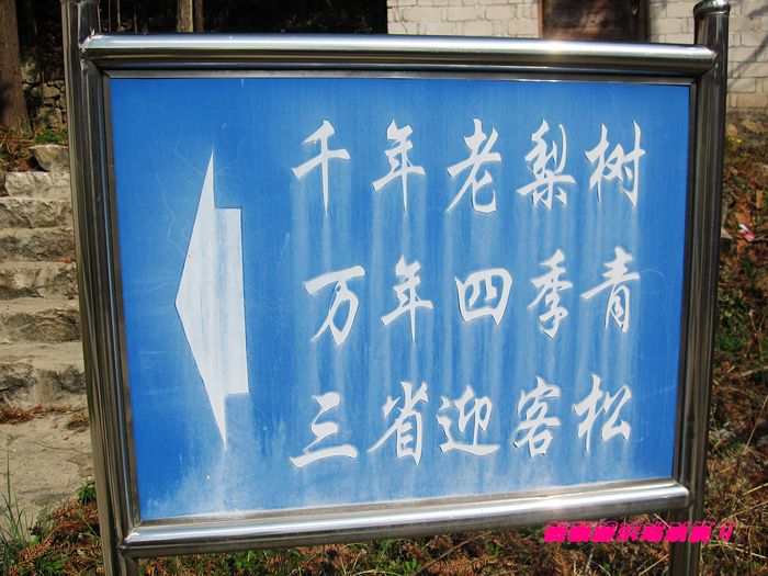neo_img_img_0366.jpg