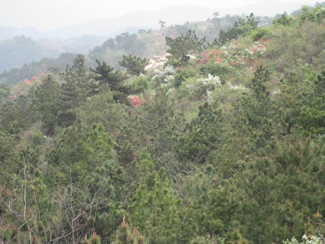 С Ƭ 040.jpg