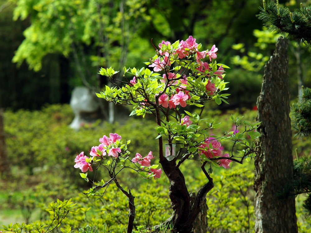 imgp0818.jpg