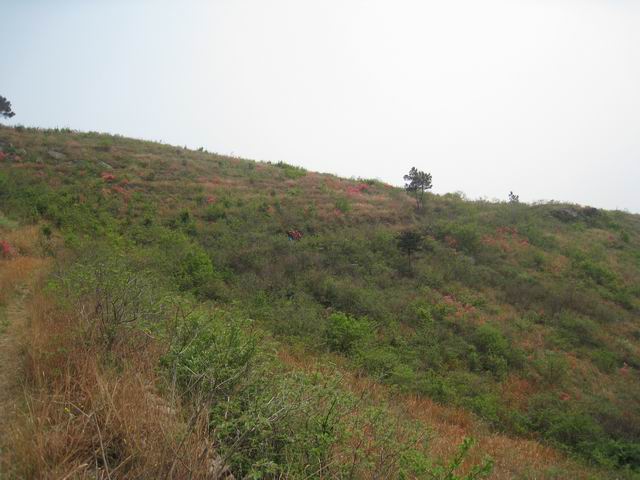 С Ƭ 140.jpg